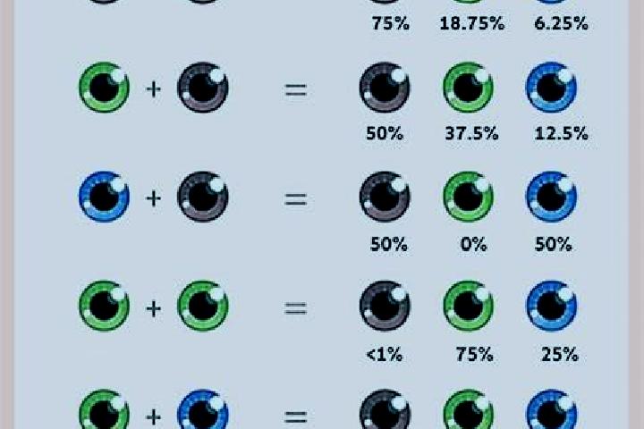 Follow the Cash Rabbit online slot