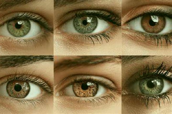 Ghost Ship slot game