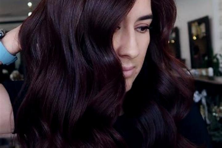 Gold of the King slot machine
