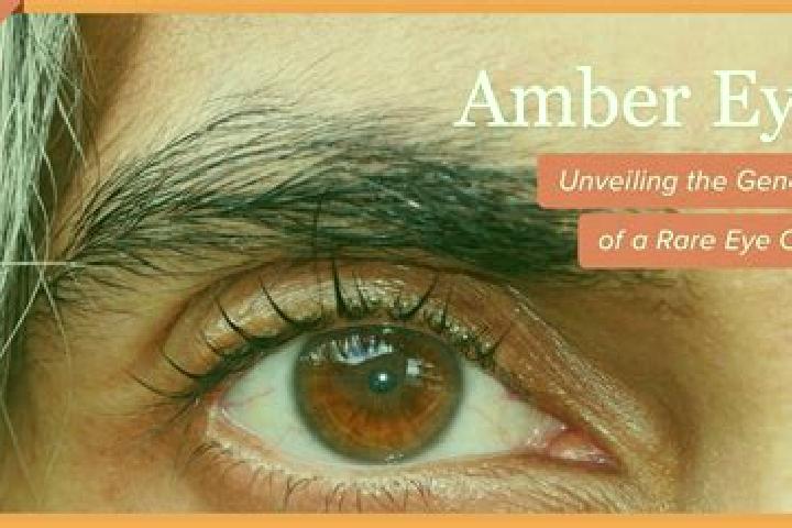 Jammin Jars 2 slot
