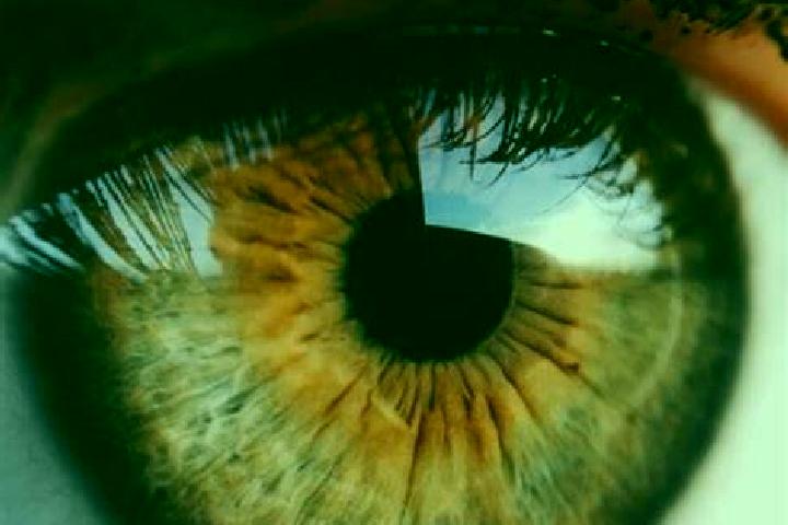 Jekyll and Hyde (Playtech) slot game