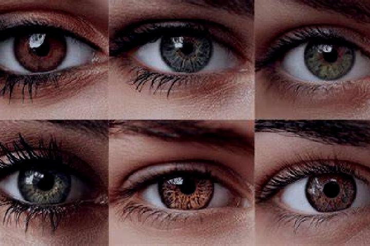 Shadowstorm Battlegrounds online slot
