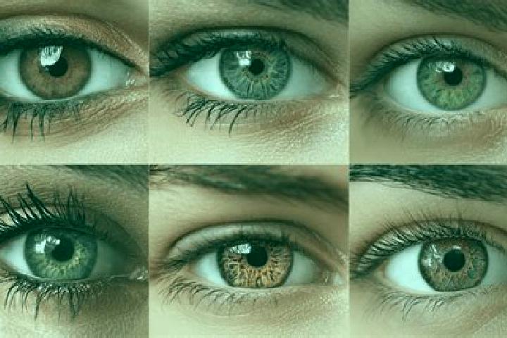 Shells n Swells slot machine