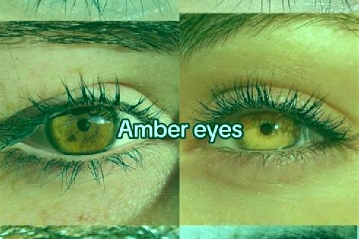 Sunshine Fruits slot game